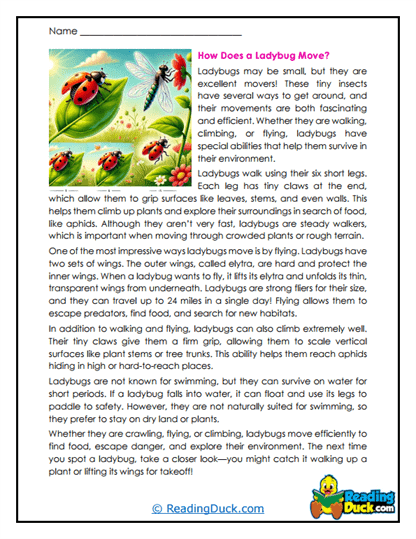 Flying Spots Worksheet