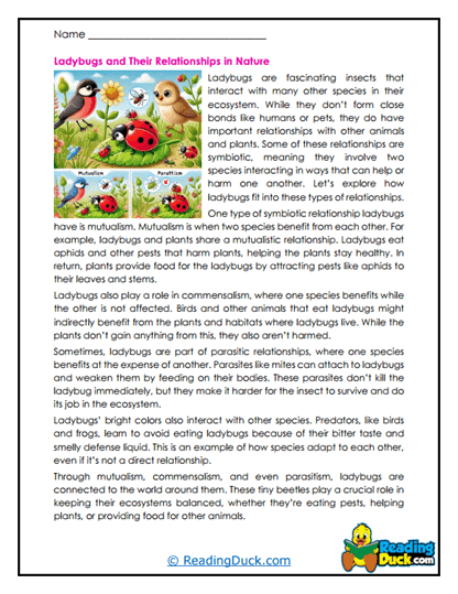 Nature Connections Worksheet