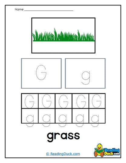 Grass Practice Worksheet