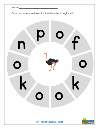 Ostrich Match Worksheet