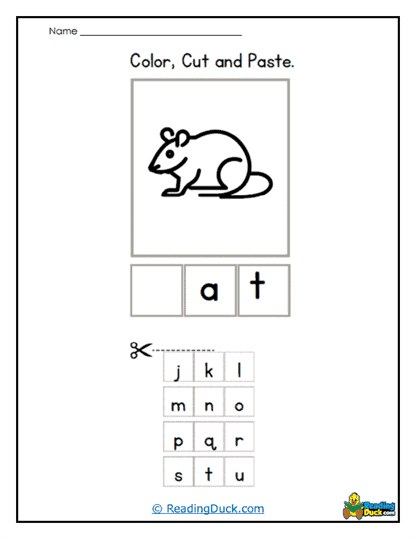 Rat Builder Worksheet