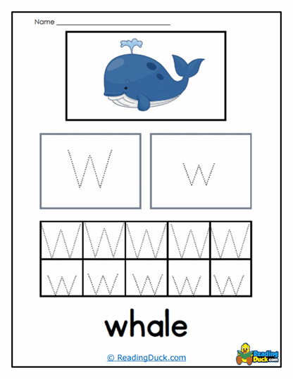 Whale Traces Worksheet