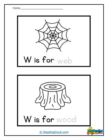 Web Wonders Worksheet