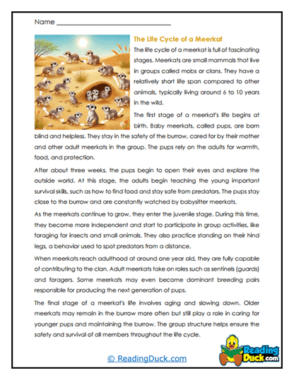 Life Learners Worksheet