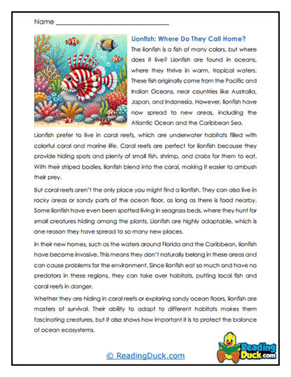 Reef Hideouts Worksheet