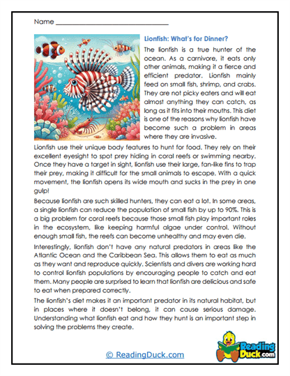 Reef Hunters Worksheet