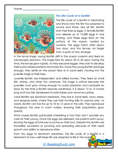Growing Lionfish Worksheet