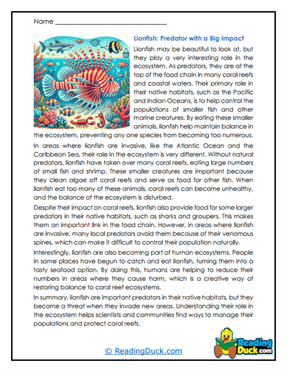 Reef Balance Worksheet