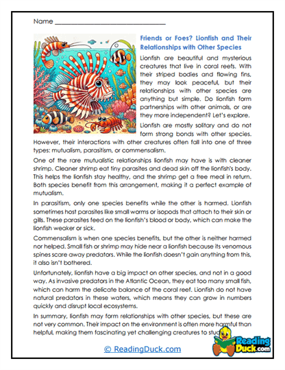 Reef Relationships Worksheet