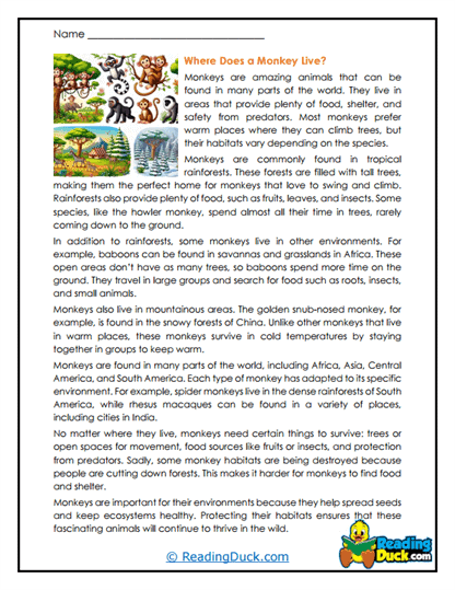 Habitat Hunters Worksheet