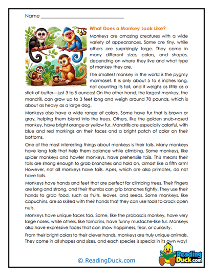 Colorful Creatures Worksheet