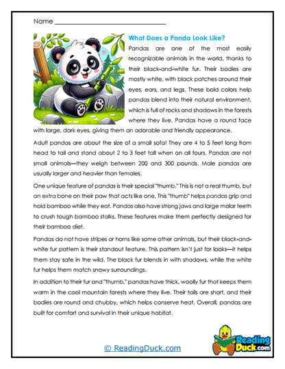 Playful Patterns Worksheet