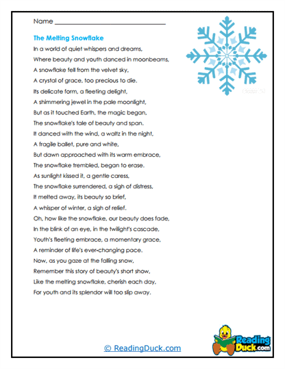 Snowflake’s Tale Worksheet