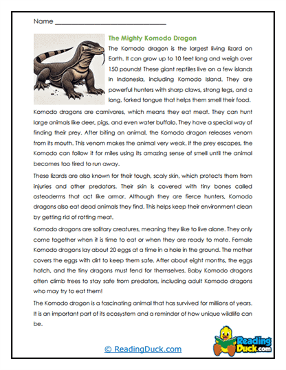 Komodo Dragon Worksheets