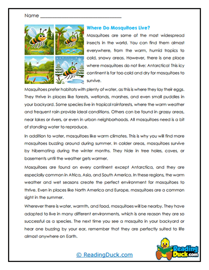 Water Wanderers Worksheet
