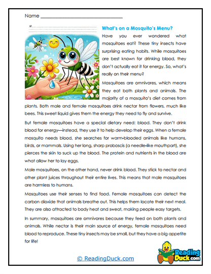 Nectar Hunters Worksheet