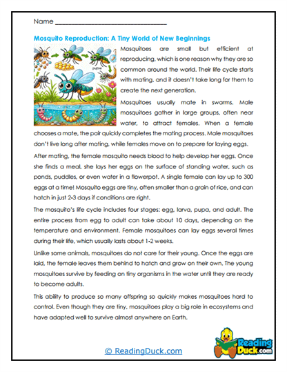 Water Beginnings Worksheet
