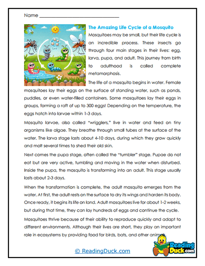 Life Journey Worksheet