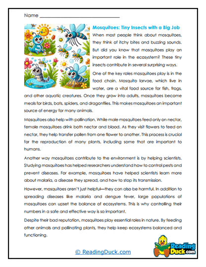 Wetland Workers Worksheet