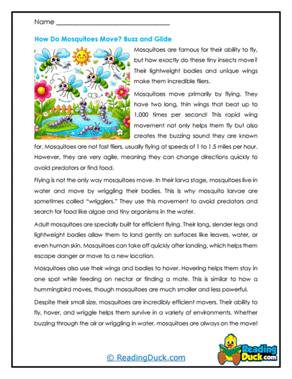 Hovering Fliers Worksheet
