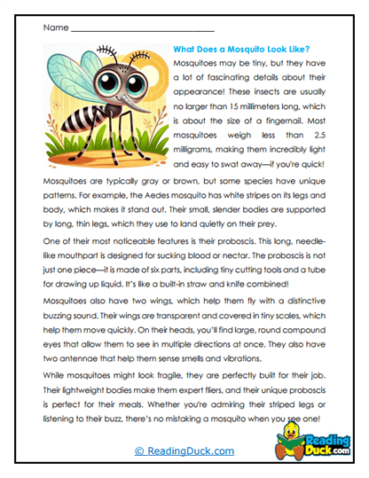 Buzzing Bodies Worksheet