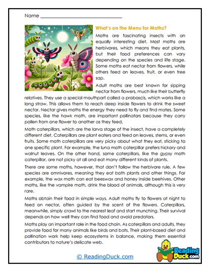 Moonlight Meals Worksheet