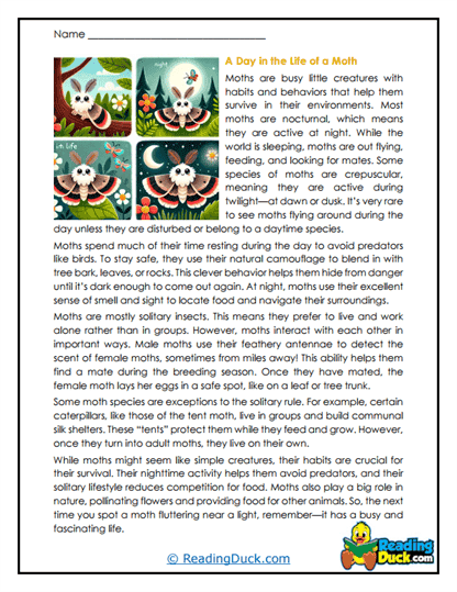 Nighttime Adventures Worksheet