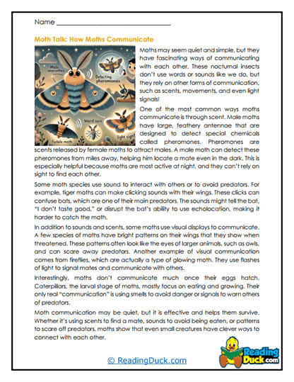 Moonlight Messages Worksheet