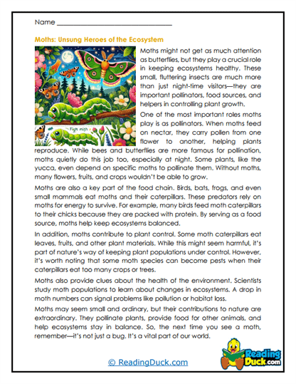 Night Pollinators Worksheet