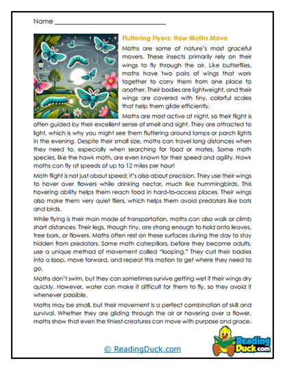 Fluttering Flight Worksheet