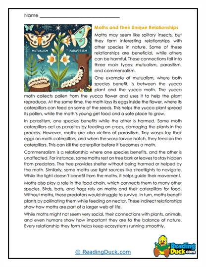 Nature's Web Worksheet