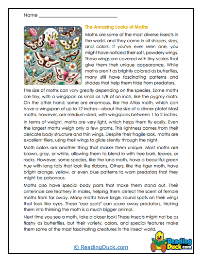 Winged Wonders Worksheet