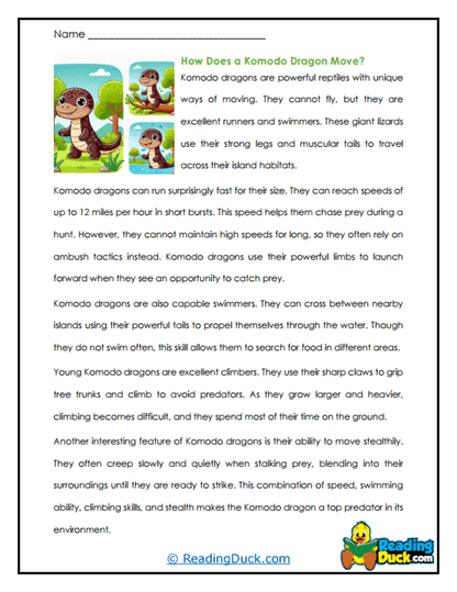 Swift Stalkers Worksheet