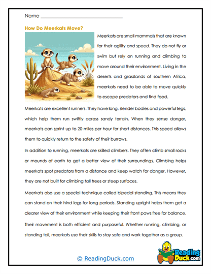 Speedy Scouts Worksheet