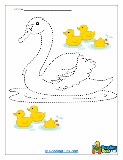 Swan Splash Worksheet