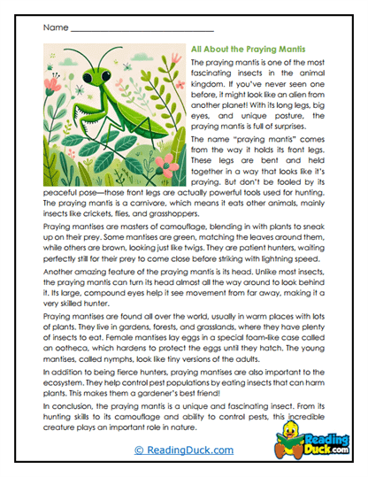 Mantis Marvel Worksheet