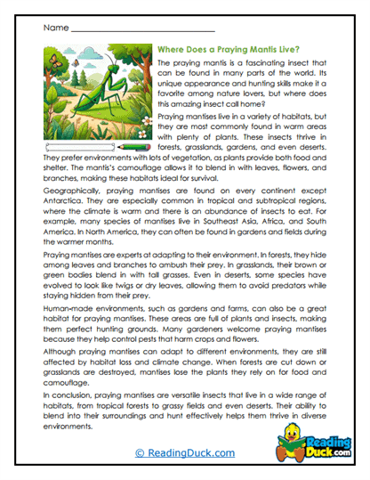 Habitat Hideouts Worksheet