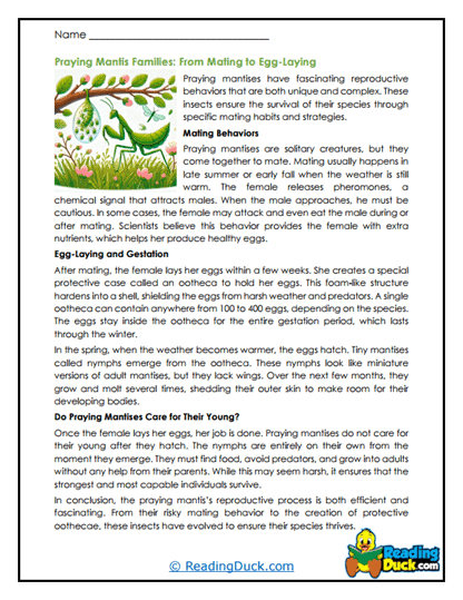Egg Secrets Worksheet