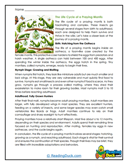 Growth Journey Worksheet