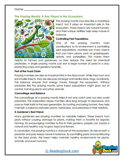 Nature Guardian Worksheet