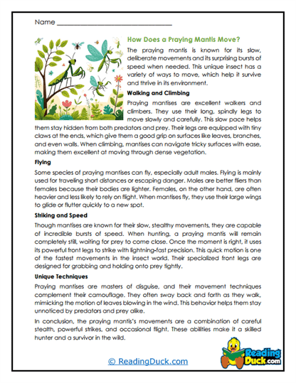 Agile Acrobat Worksheet
