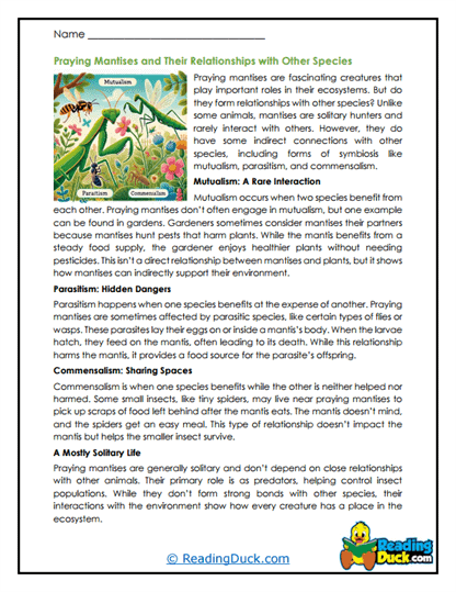 Nature Neighbors Worksheet