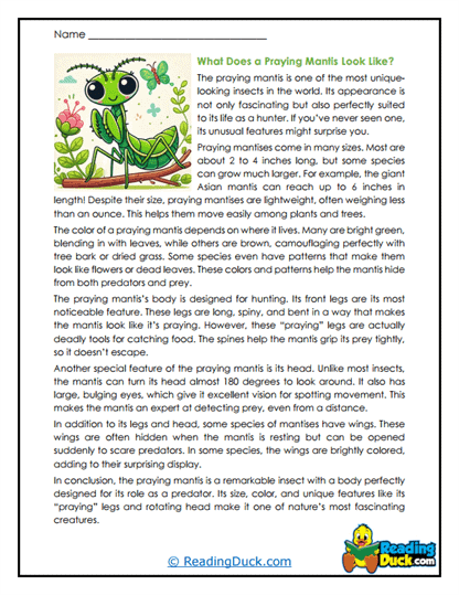 Curious Colors Worksheet