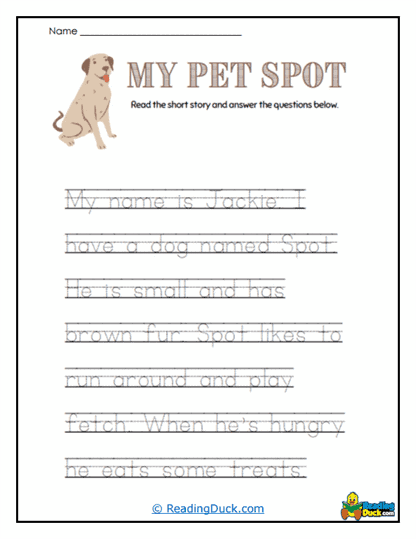 Spot's Story Worksheet