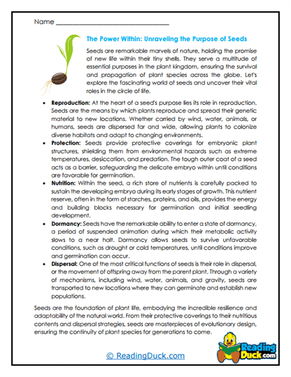 Seed Secrets Worksheet