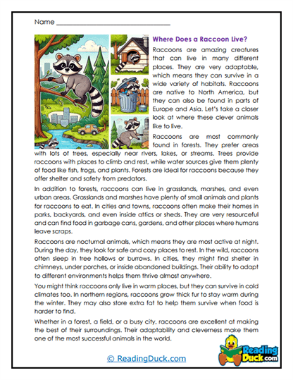 Wild Homes Worksheet