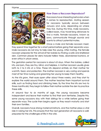 Family Bonds Worksheet