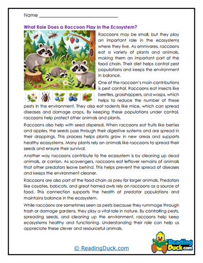 Ecosystem Helper Worksheet