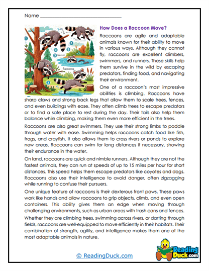 Agile Explorer Worksheet