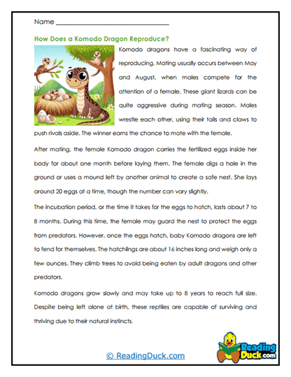 Reptile Reproduction Worksheet